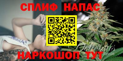 скорость Будённовск