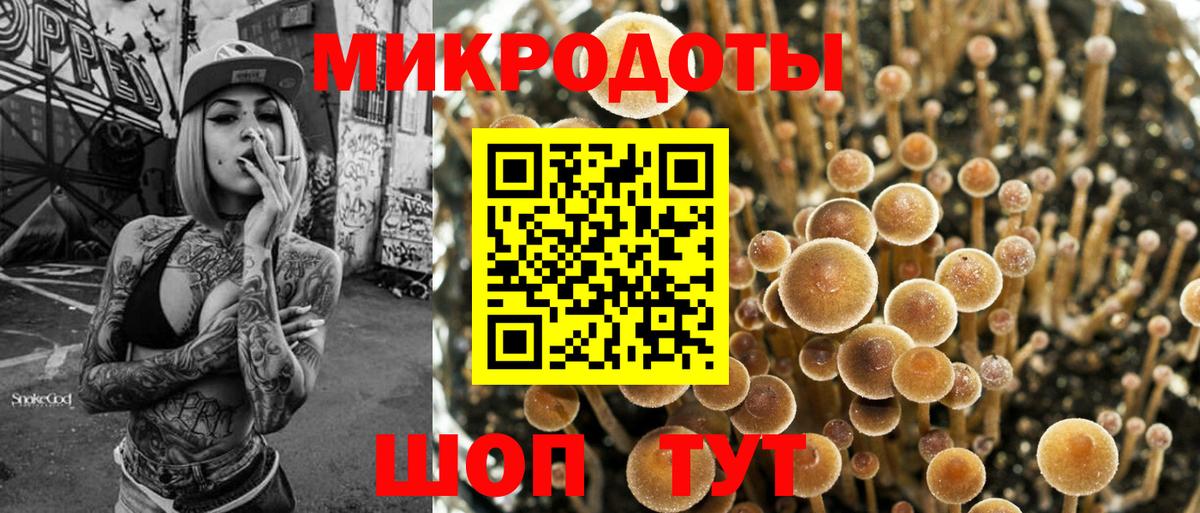Галлюциногенные грибы Psilocybine cubensis Норильск